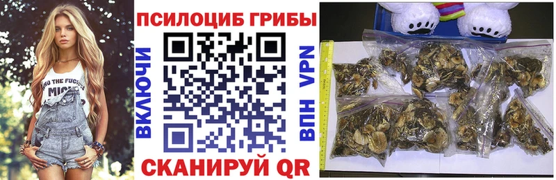 Купить где  Саранск  Галлюциногенные грибы Cubensis 